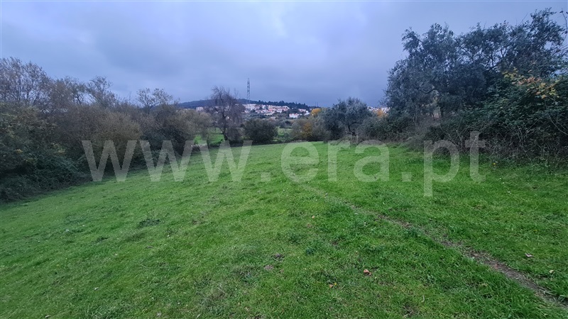 Terreno com ruina  Gouveia, Nespereira - 1365569 - 18