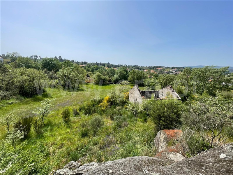 Terreno com ruina / Gouveia, Ribamondego, Gouveia