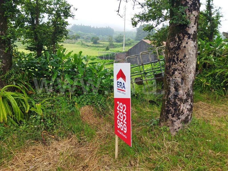 Terreno com ruina  Horta, Capelo - 1337310 - 6