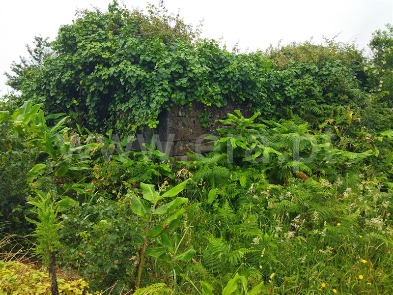 Terreno com ruina  Horta, Capelo - 1337310 - 8