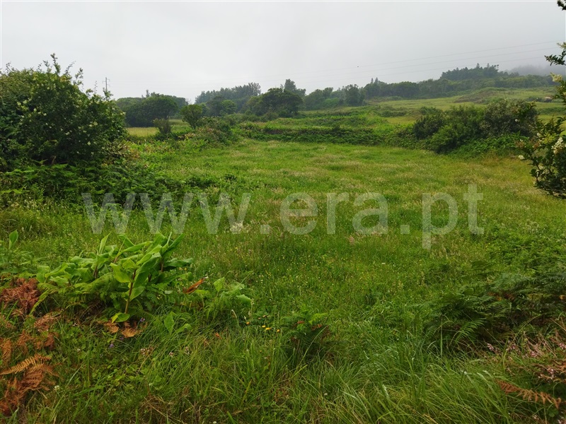 Terreno com ruina  Horta, Capelo - 1337310 - 9