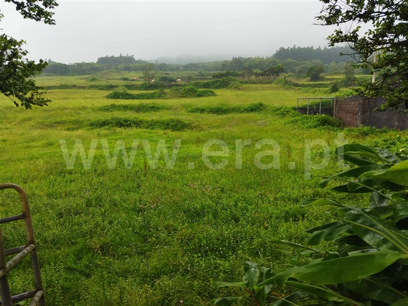 Terreno com ruina  Horta, Capelo - 1337310 - 10