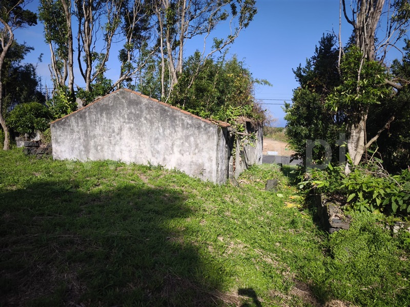 Terreno com ruina / Horta, Capelo