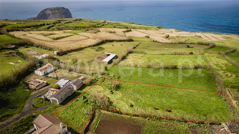 Terreno com ruina / Horta, Castelo Branco