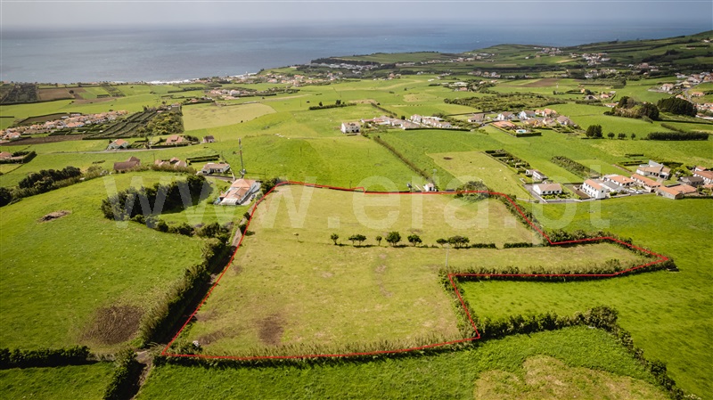 Terreno com ruina / Horta, Feteira