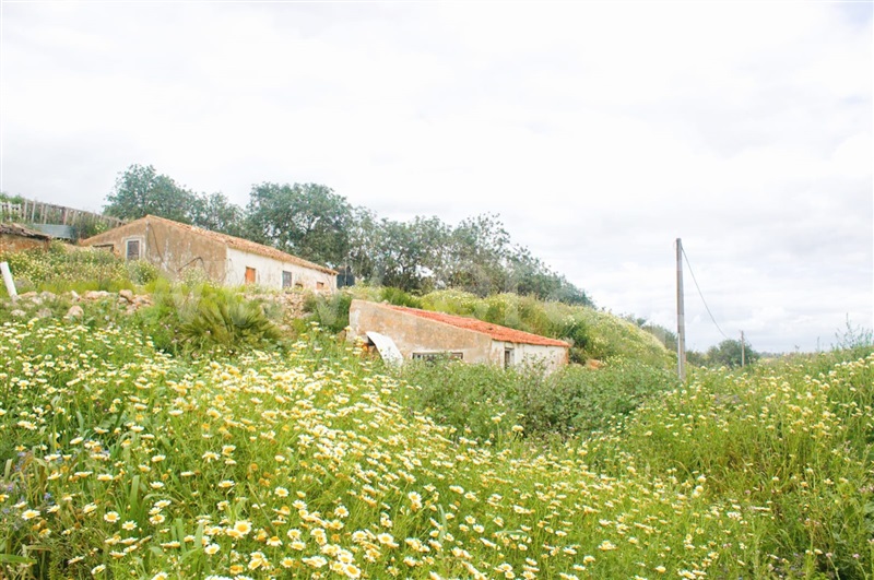 Terreno com ruina / Lagoa, Estômbar e Parchal