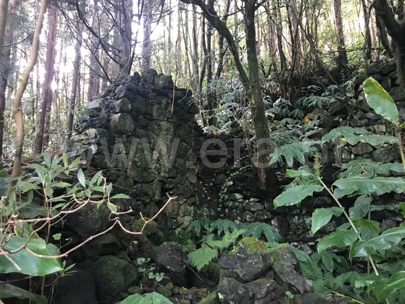 Terreno com ruina / Lajes do Pico, Calheta de Nesquim