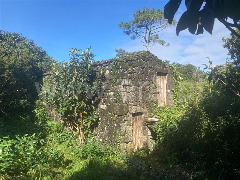 Terreno com ruina  Lajes do Pico, Piedade - 1381074 - 7