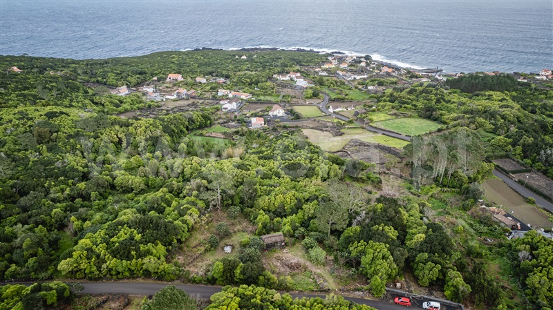 Terreno com ruina  Lajes do Pico, Piedade - 1381074 - 9