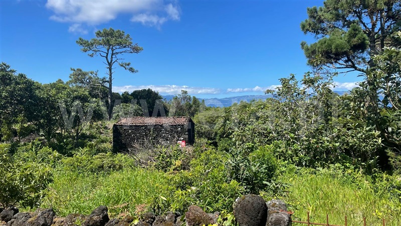Terreno com ruina  Lajes do Pico, Piedade - 1381074 - 13