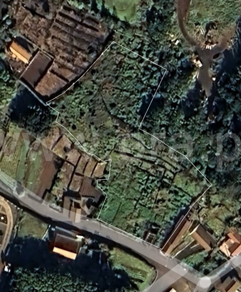 Terreno com ruina  Lajes do Pico, Piedade - 1481556 - 1