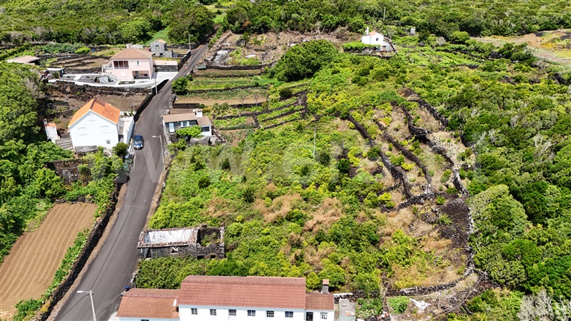 Terreno com ruina  Lajes do Pico, Piedade - 1481556 - 5