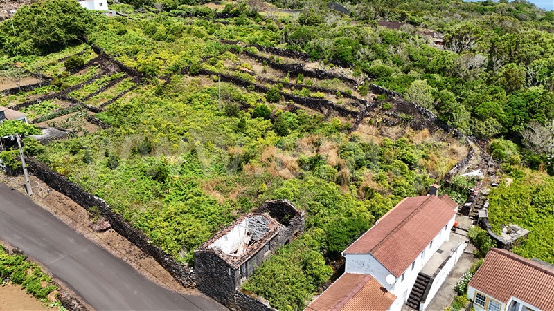 Terreno com ruina  Lajes do Pico, Piedade - 1481556 - 7