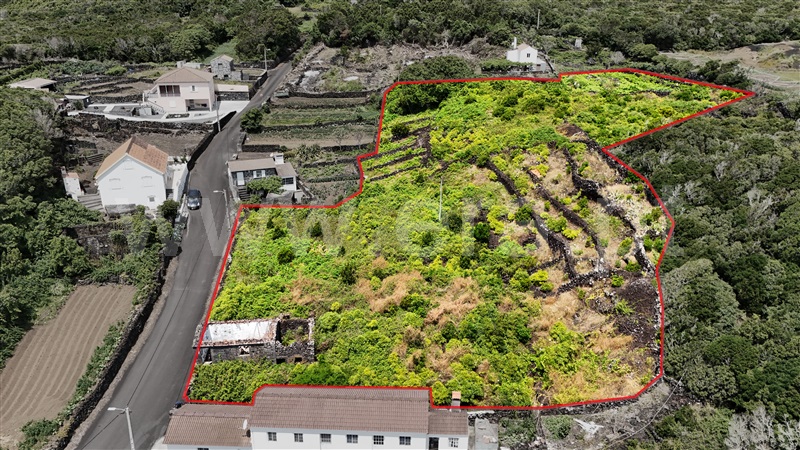 Terreno com ruina  Lajes do Pico, Piedade - 1481556 - 8