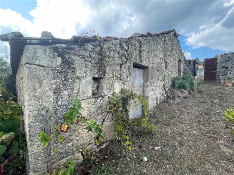 Terreno com ruina  Lamego, Lalim - 1343367 - 2