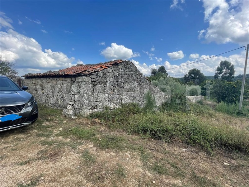 Terreno com ruina  Lamego, Lalim - 1343367 - 3