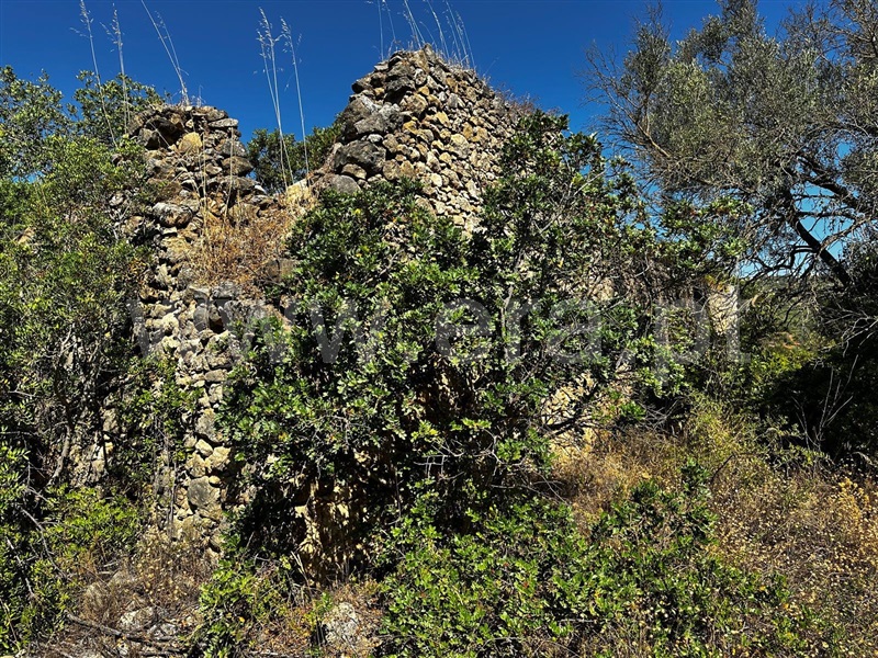 Terreno com ruina  Loulé, Loulé - 1496940 - 1