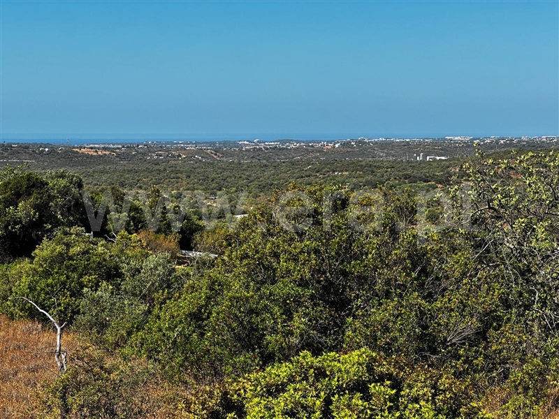 Terreno com ruina / Loulé, Loulé