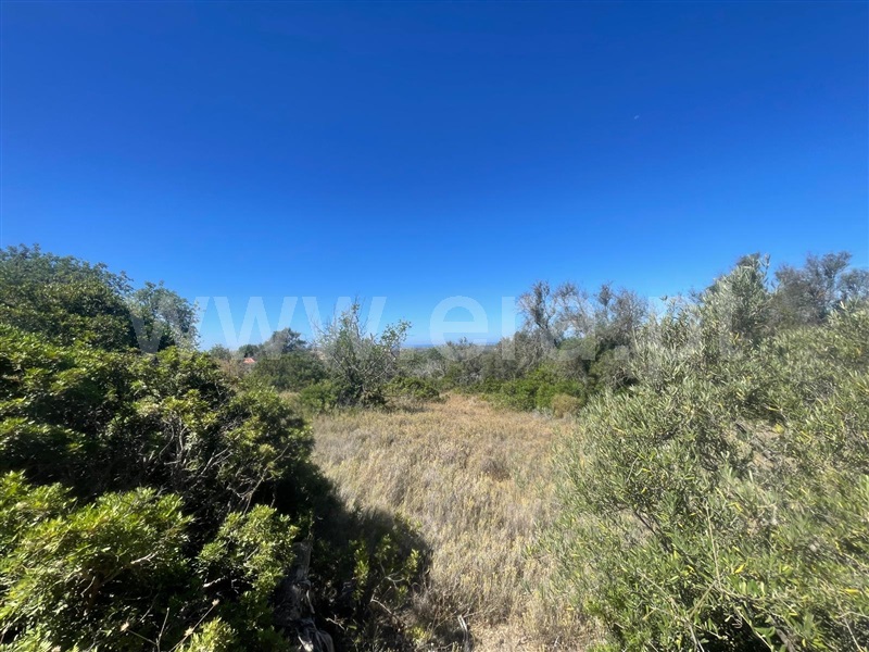 Terreno com ruina  Loulé, Loulé - 1496940 - 4