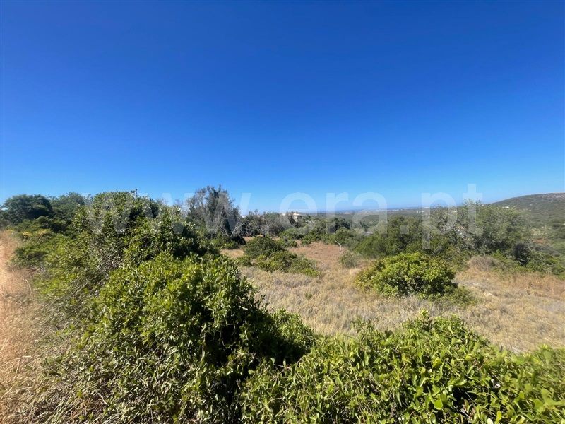 Terreno com ruina  Loulé, Loulé - 1496940 - 6