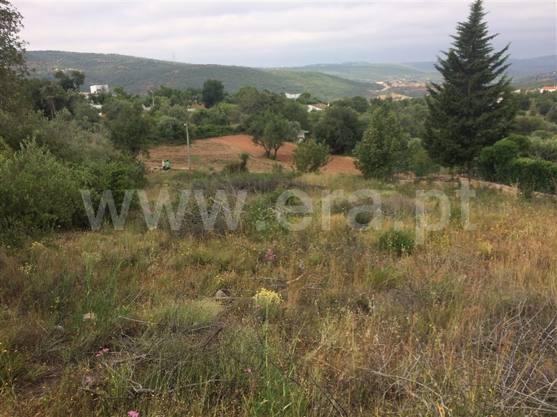 Terreno com ruina / Loulé, Querença, Tôr e Benafim