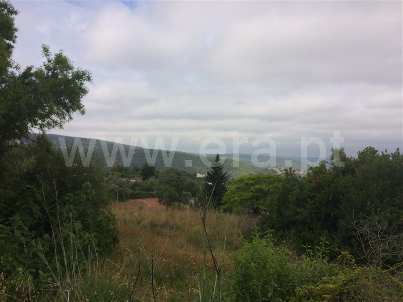 Terreno com ruina  Loulé, Querença, Tôr e Benafim - 1001417 - 5