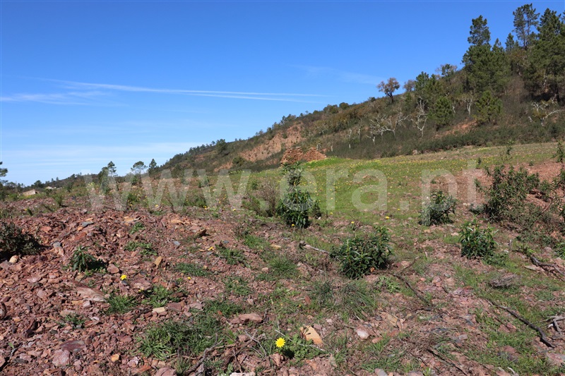 Terreno com ruina  Loulé, Salir - 1078167 - 9