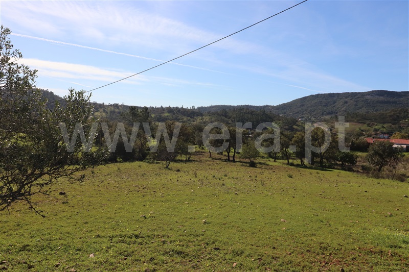 Terreno com ruina  Loulé, Salir - 1078167 - 10