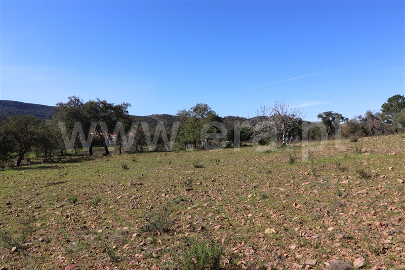 Terreno com ruina  Loulé, Salir - 1078167 - 13