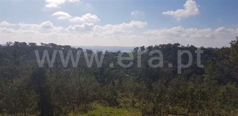 Terreno com ruina  Loulé, Salir - 1125868 - 7