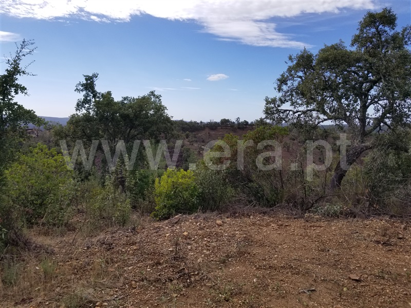 Terreno com ruina  Loulé, Salir - 1125868 - 12