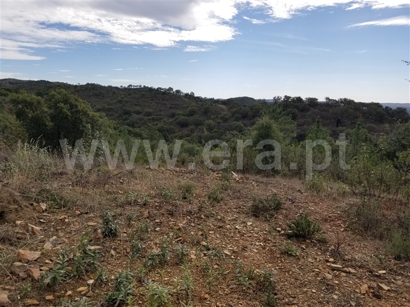 Terreno com ruina  Loulé, Salir - 1125868 - 13
