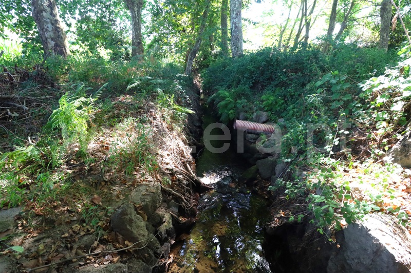 Terreno com ruina  Lousada, Torno - 1418856 - 7