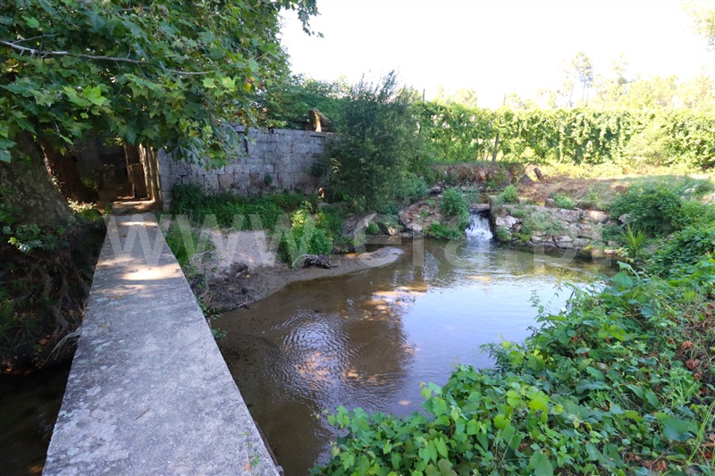 Terreno com ruina / Lousada, Torno