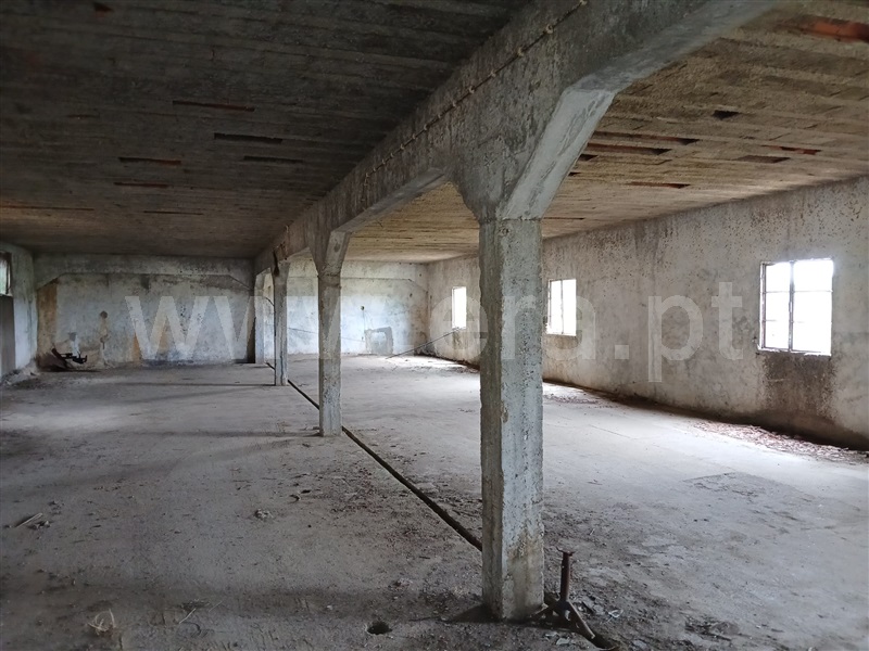 Terreno com ruina  Mação, Mação - 1494032 - 2