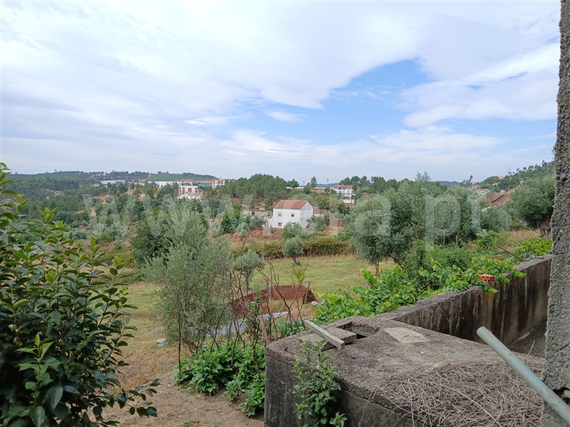 Terreno com ruina  Mação, Mação - 1494032 - 4
