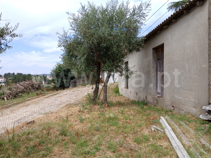 Terreno com ruina  Mação, Mação - 1494032 - 6