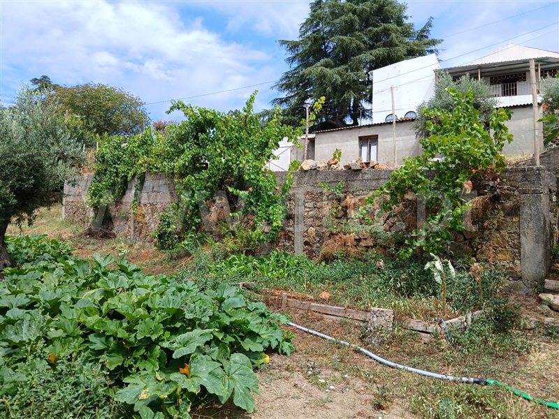 Terreno com ruina  Mação, Mação - 1494032 - 7