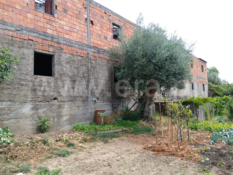 Terreno com ruina  Mação, Mação - 1494032 - 8
