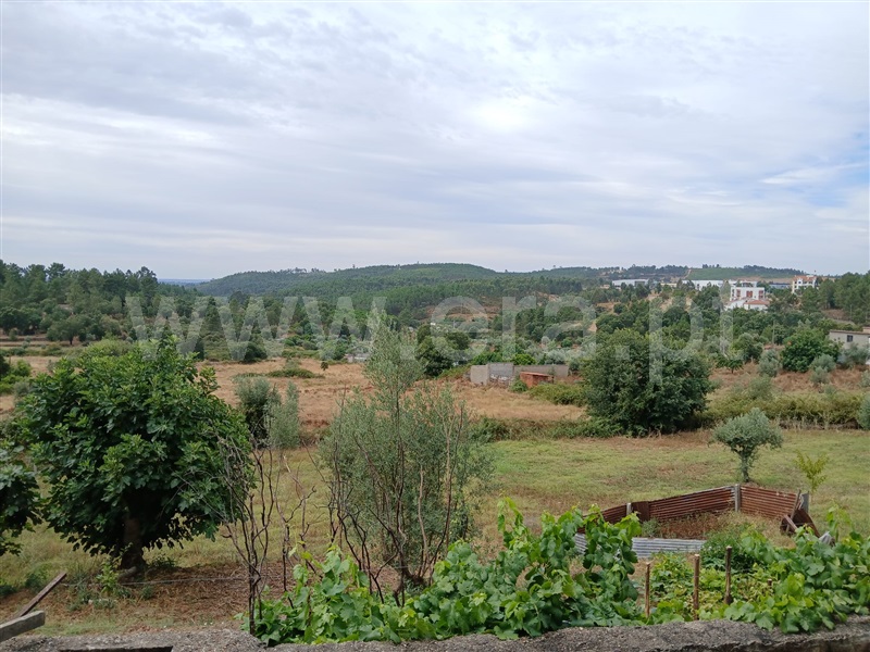 Terreno com ruina  Mação, Mação - 1494032 - 10