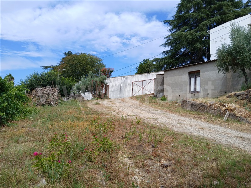 Terreno com ruina  Mação, Mação - 1494032 - 12