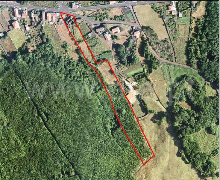 Terreno com ruina  Madalena, Bandeiras - 1481167 - 3