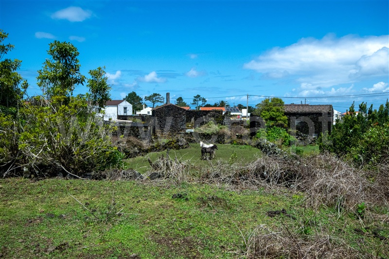 Terreno com ruina  Madalena, Bandeiras - 1481167 - 7