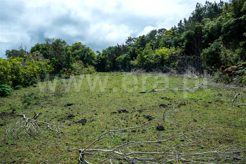 Terreno com ruina  Madalena, Bandeiras - 1481167 - 8