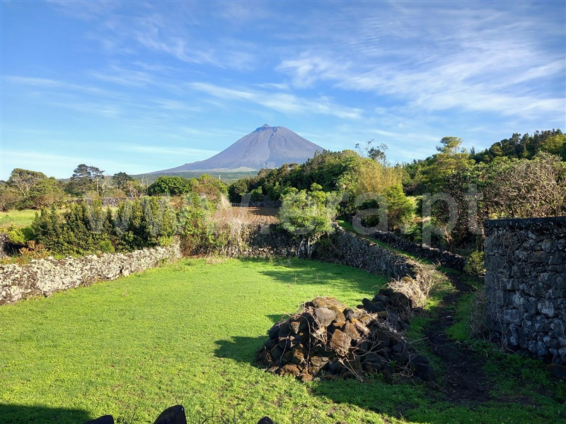 Terreno com ruina  Madalena, Bandeiras - 1481167 - 12