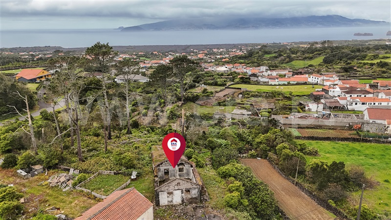 Terreno com ruina / Madalena, Criação Velha