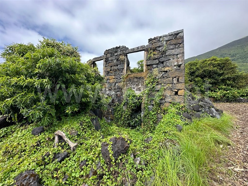 Terreno com ruina / Madalena, São Caetano