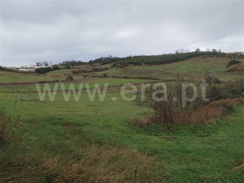 Terreno Rústico  Mafra, Encarnação, Mafra - 1430496 - 9