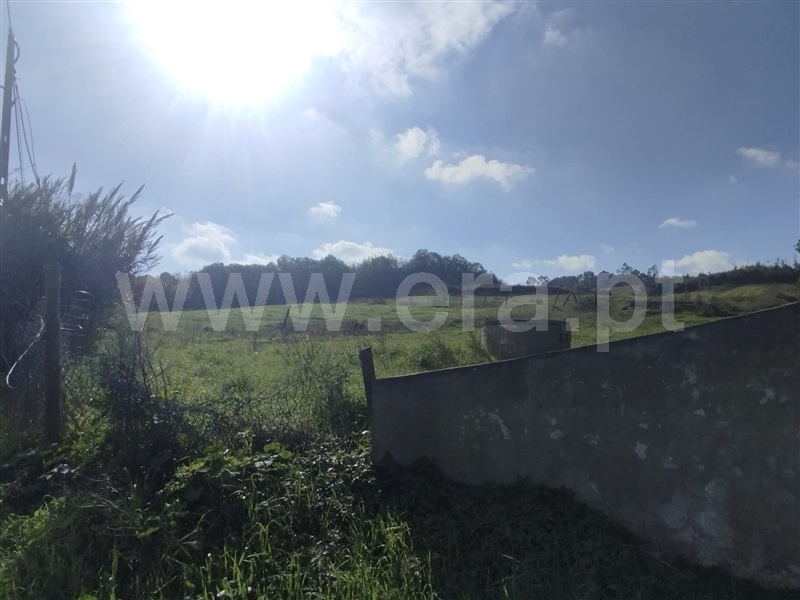 Terreno com ruina  Mafra, Encarnação, Mafra - 1430496 - 14