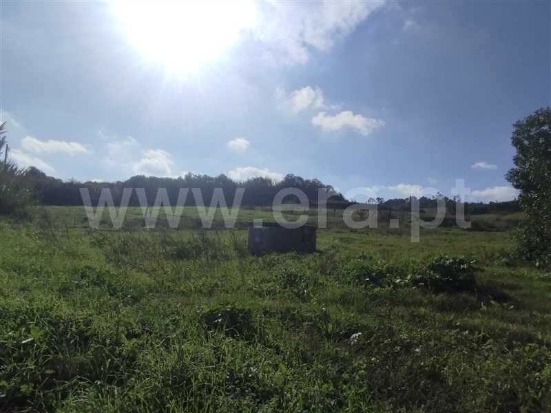 Terreno com ruina  Mafra, Encarnação, Mafra - 1430496 - 15